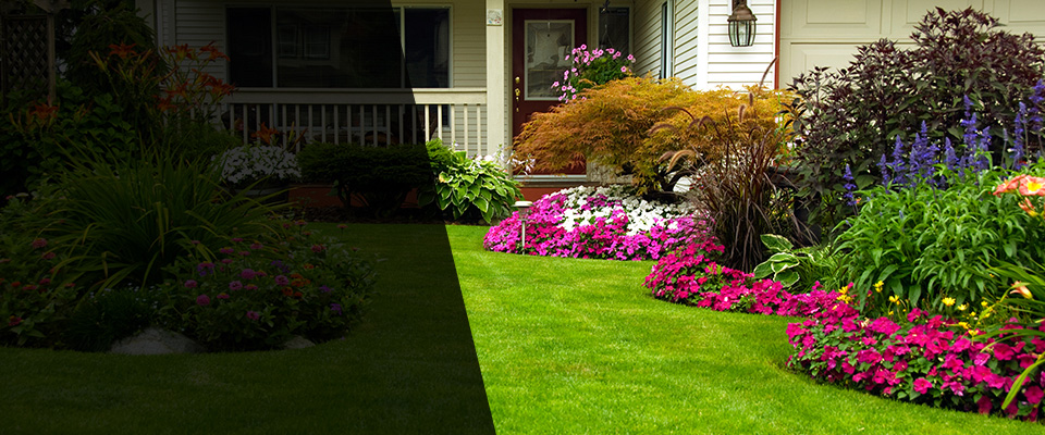 Fishers Landscapers
