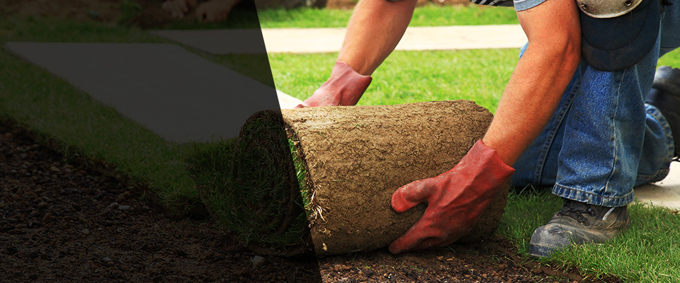 Fishers Landscapers